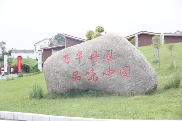 开云体育官方网站